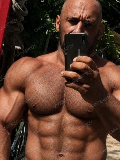 Master Muscle Bear
