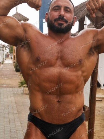Master Muscle Bear